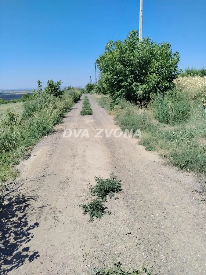 Prodaja, plac, 12300m², Novi Slankamen, Inđija