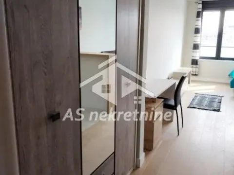 Izdavanje, jednosoban stan, 35m², Novi Beograd Blok 65, Novi Beograd Sve Podlokacije - image 14