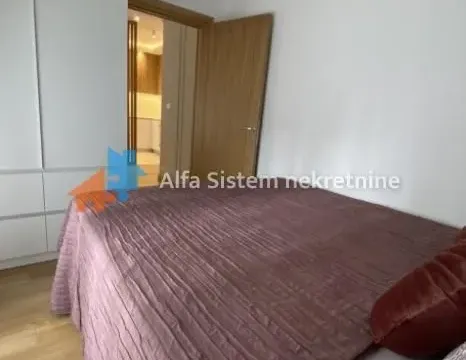 Izdavanje, dvosoban stan, 45m², Južni Bulevar, Vračar Sve Podlokacije - image 12