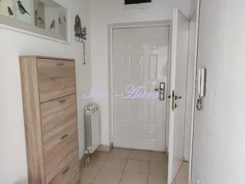 Izdavanje, dvosoban stan, 47m², Zvezdara Sve Podlokacije, Beograd - image 12