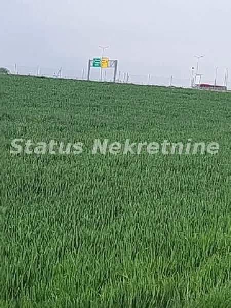 Prodaja, plac, 2600m², Kovilj, Novi Sad Sve Podlokacije