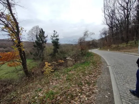 Prodaja, plac, 138m², Banja Vrdnik, Irig - image 7