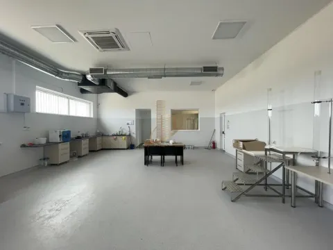 Sale, office space, 1193m², Kać, Novi Sad Sve Podlokacije - image 7