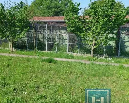 Prodaja, kuća, 113m², Ribare, Jagodina - image 10