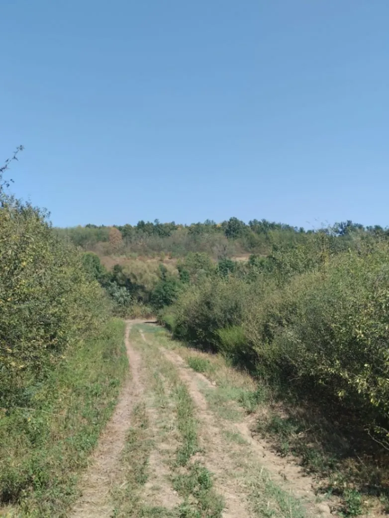 Prodaja, plac, 13532m², Mala Ivanča, Sopot