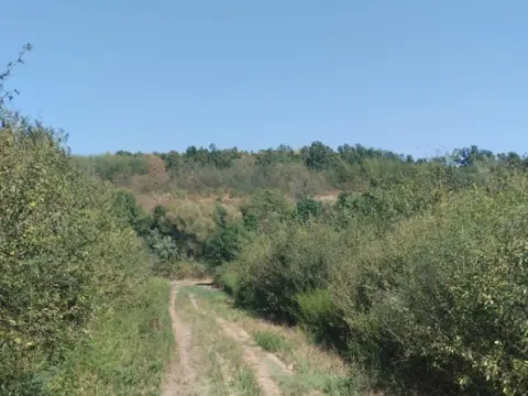 Prodaja, plac, 13532m², Mala Ivanča, Sopot - image 3