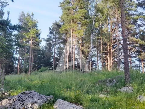 Prodaja,  zemljište, 2000m2, Žabljak