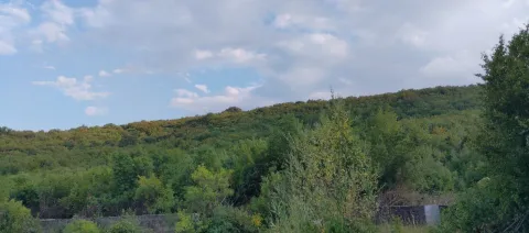 Pogled na šumoviti pejzaž i nebo sa oblacima. - image 8