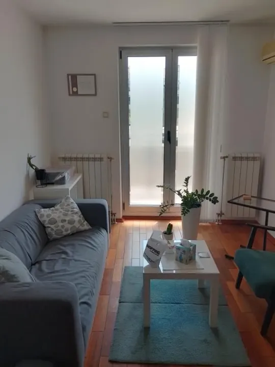 Sale, one bedroom apartment, 28m², Bulevar Oslobodjenja, Novi Sad Sve Podlokacije