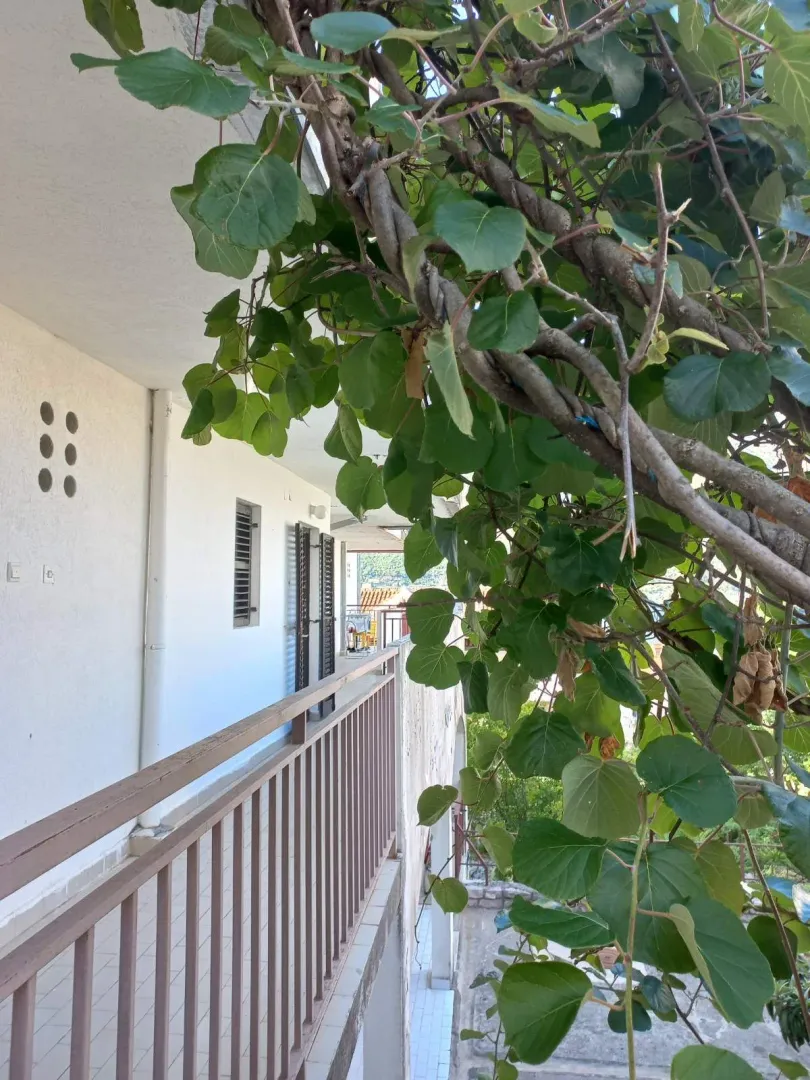 Spoljašnji balkon sa ogradom i zelenom puzavicom.