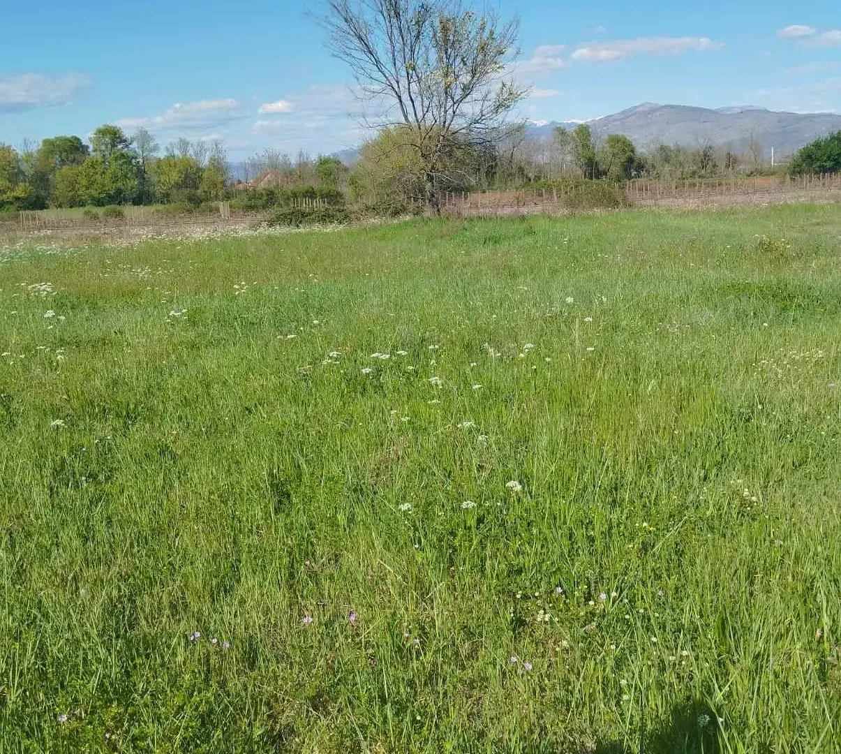 Prodaja, plac, 12m², Podgorica, Crna Gora