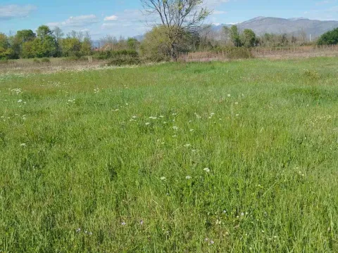 Prodaja, plac, 12m², Podgorica, Crna Gora - image 3