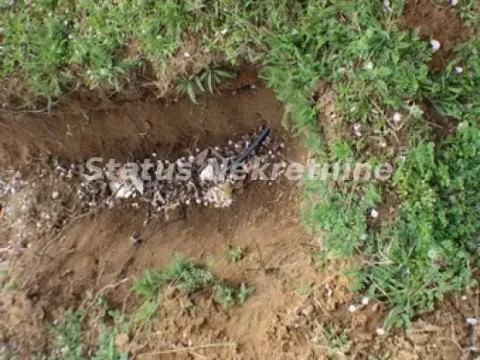 Prodaja, kuća, 111m², Sremska Kamenica, Petrovaradin - image 9