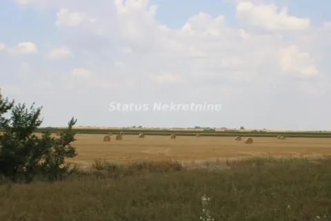 Pogled na prostrano polje sa balama sena pod oblačnim nebom. - image 3