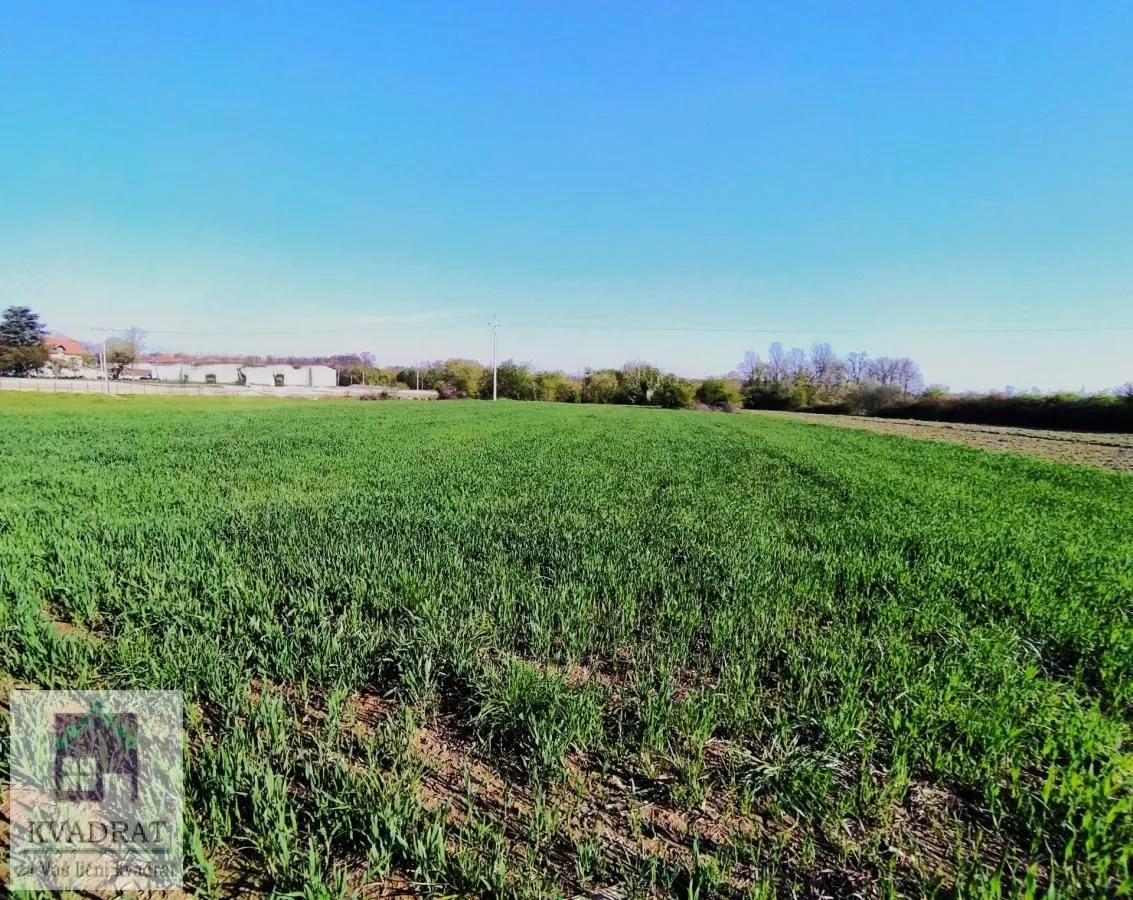 Prodaja, plac, 24000m², Stublenica, Ub