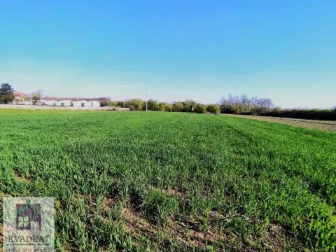 Sale, land lot, 240m², Stublenica, Ub - image 3