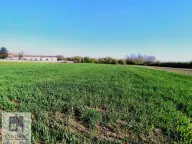 Prodaja, plac, 240m², Stublenica, Ub - image 3