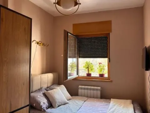 Izdavanje, dvosoban stan, 50m², Voždovac Sve Podlokacije, Beograd - image 3