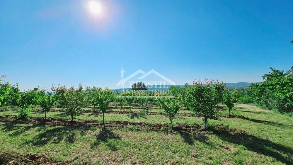 Prodaja, plac, 8900m², Grocka, Beograd