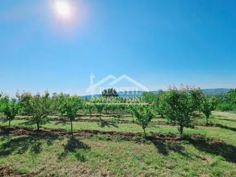 Sale, land lot, 8900m², Grocka, Beograd - image 2