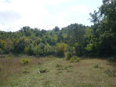 Prodaja, plac, 13750m², Utjeha, Bar - image 5