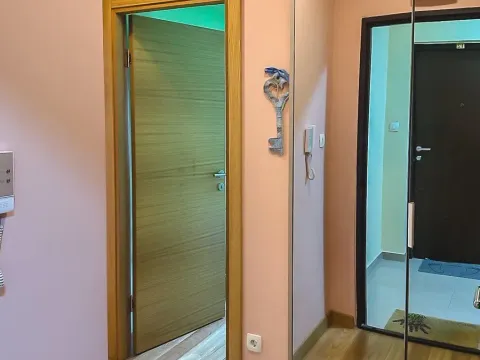 Izdavanje, jednosoban stan, 51m², Ljubović, Podgorica - image 6