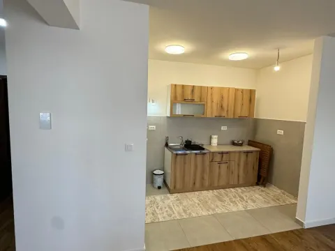 Izdavanje, jednosoban stan, 55m², Stari Aerodrom, Podgorica - image 4