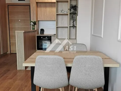 Izdavanje, dvosoban stan, 45m², Centar, Novi Sad - image 4