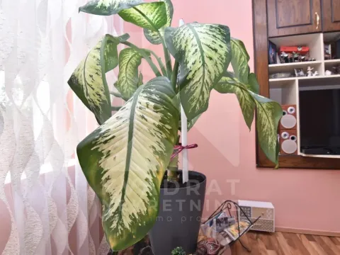 Izdavanje, dvosoban stan, 68m², Gornja Gorica, Podgorica - image 12