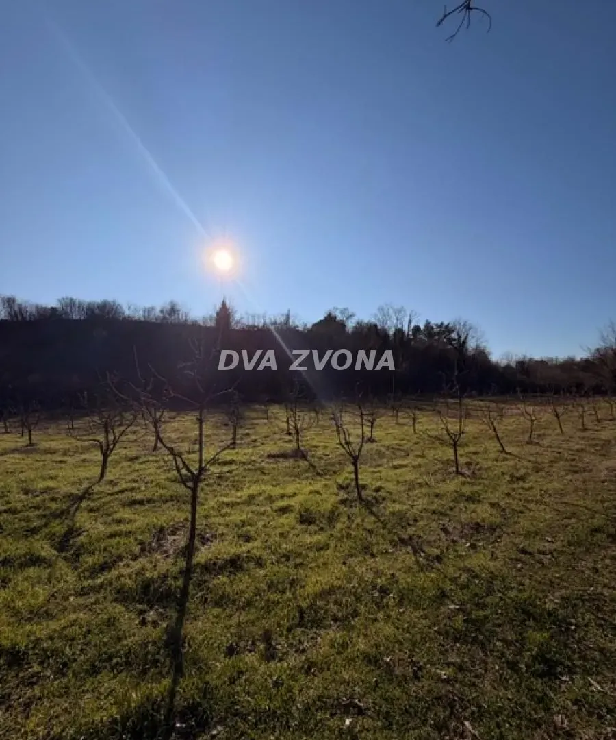 Prodaja, plac, 8400m², Čortanovci, Inđija