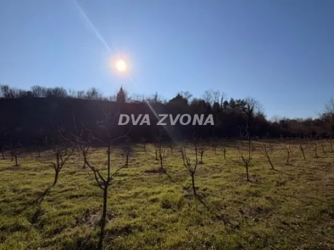 Prodaja, plac, 8400m², Čortanovci, Inđija - image 3