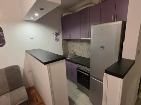 Izdavanje, garsonjera, 22m², Bulevar patrijarha Pavla, Novi Sad Sve Podlokacije - image 4