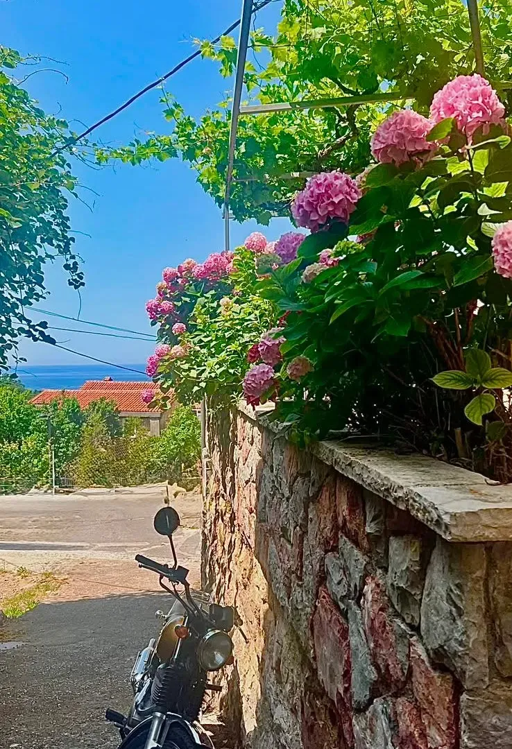 Rent, house, 70m², Pržno, Budva