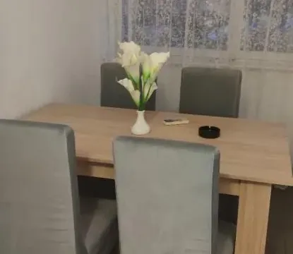 Izdavanje, dvosoban stan, 60m², Liman 2, Novi Sad Sve Podlokacije - image 8