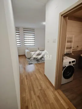 Izdavanje, dvosoban stan, 45m², Jugovićevo, Novi Sad Sve Podlokacije - image 3