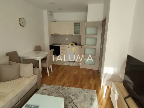 Izdavanje, jednosoban stan, 40m², Zabjelo, Podgorica - image 3