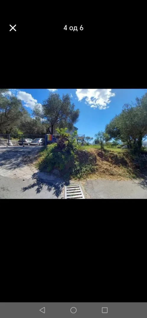 Pogled na dvorište i ulaz u imanje sa drvećem.