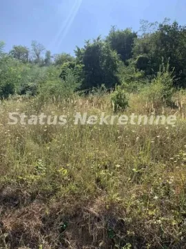 Pogled na zelenu parcelu sa rastinjem i drvećem. - image 3