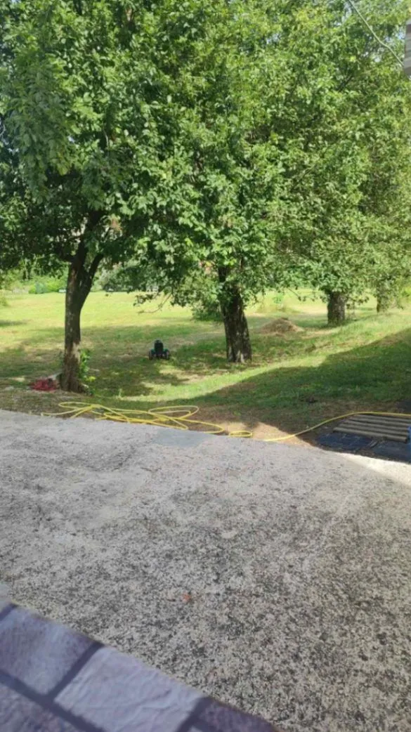 Pogled na prostrano dvorište sa travnjakom i drvećem.