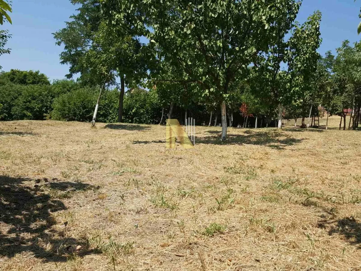 Prodaja, kuća, 65m², Čortanovci, Inđija