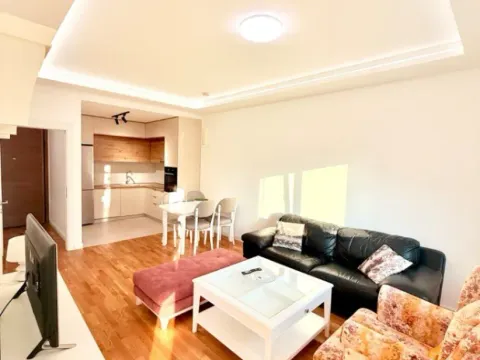 Izdavanje, jednosoban stan, 47m², Zabjelo, Podgorica - image 5