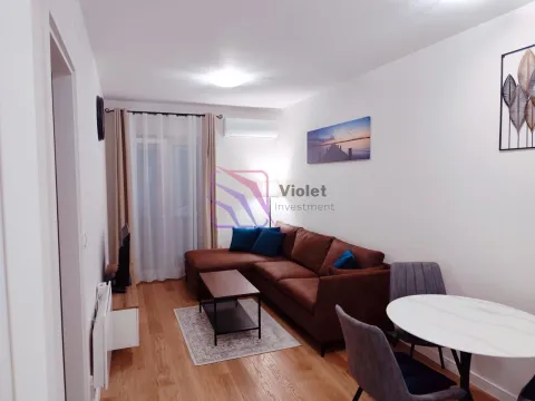 Izdavanje, jednosoban stan, 40m², Central Point, Podgorica - image 3