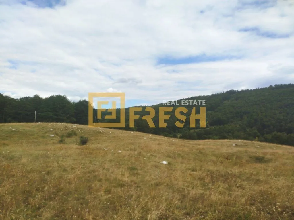 Prodaja, plac, 20000m², Nikšić, Crna Gora