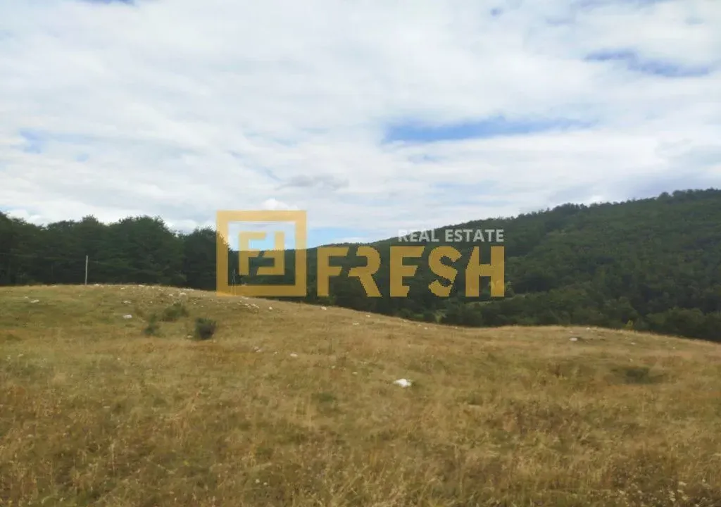 Sale, land lot, 20000m², Nikšić, Crna Gora