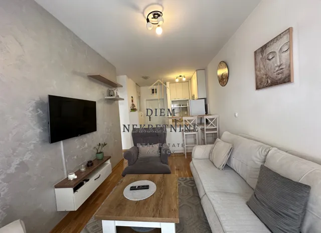 Rent, one bedroom apartment, 40m², Tuški Put, Podgorica