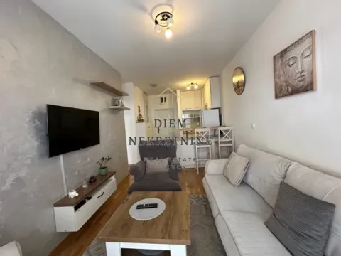 Rent, one bedroom apartment, 40m², Tuški Put, Podgorica - image 13