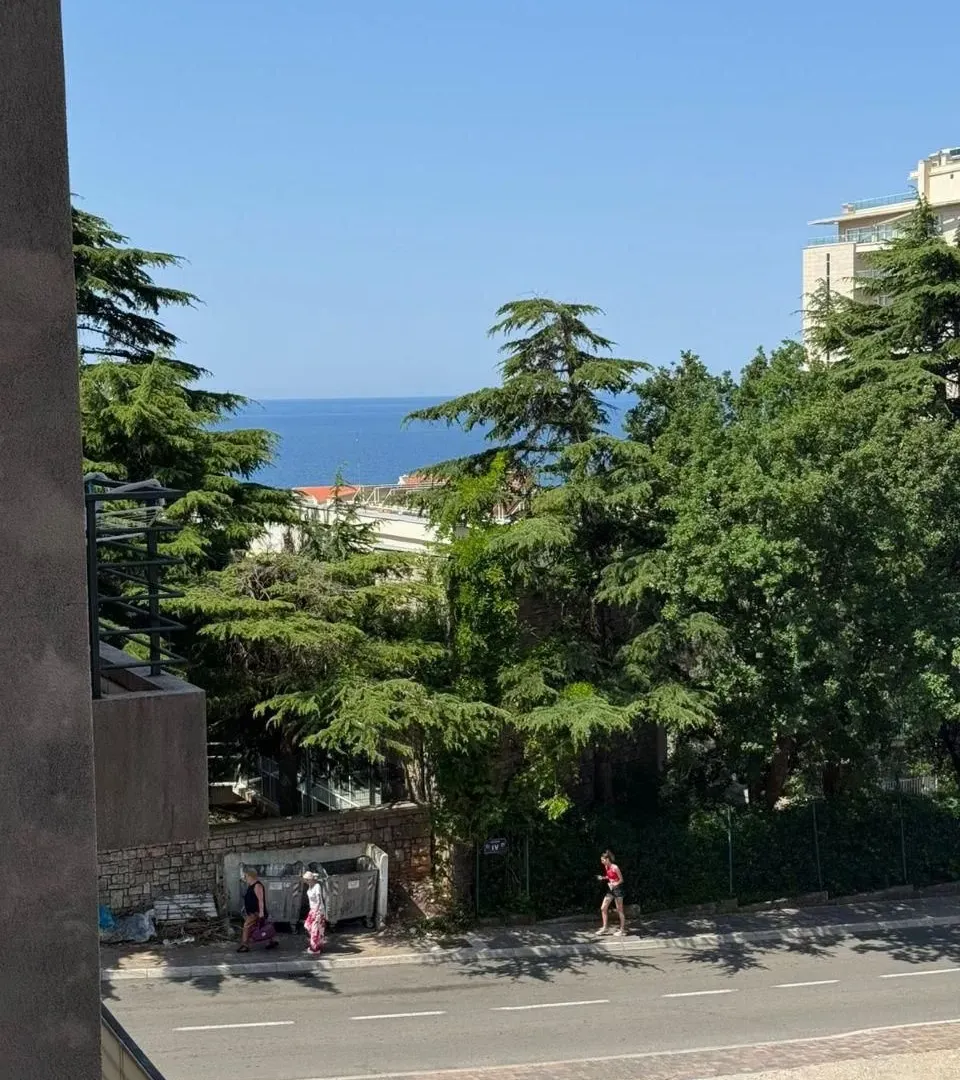 Prodaja, jednosoban stan, 61m², Petrovac, Budva