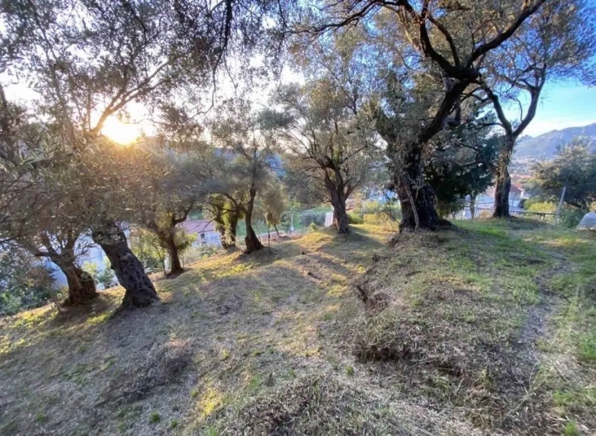 Prodaja, plac, 3700m², Zaljevo, Bar