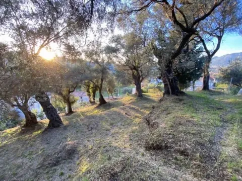 Sale, land lot, 3700m², Zaljevo, Bar - image 8