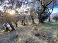 Prodaja, plac, 3700m², Zaljevo, Bar - image 8